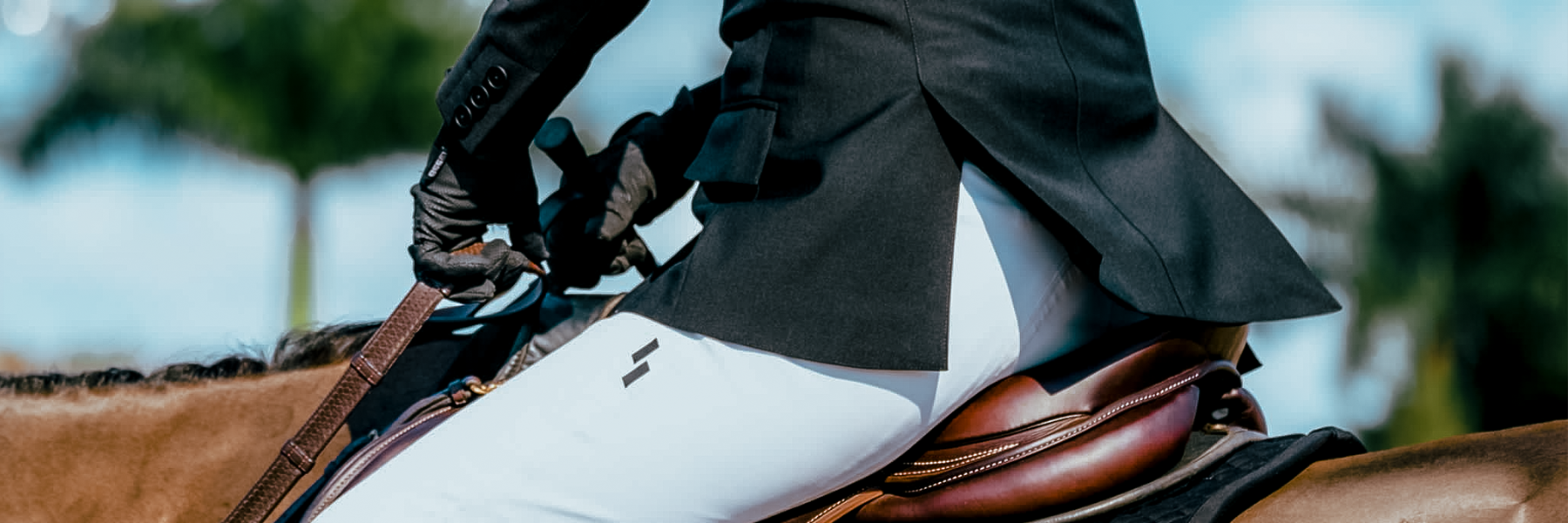 Women's Breeches